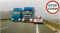 Instant karma - Na czołówkę z Policją #703 Wasze Filmy