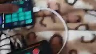 moje