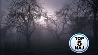 Top 5 Najbardziej Nawiedzonych Miejsc Świata
