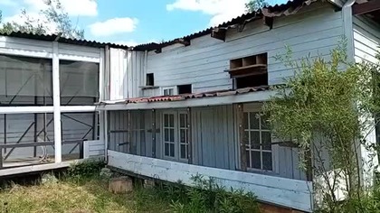 Pierwsze wyjście gołębi na dach 