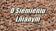 Siemię lniane w żywieniu koni