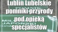 Lublin: Lubelskie pomniki przyrody pod opieką specjalistów