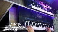 F. R.  DAVID - Words dont come easy (Instrumental cover) || Yamaha PSR sx900 || @DiscoItalo80