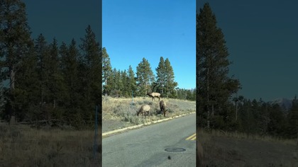 Najpiękniejszy park narodowy w USA #shorts