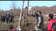 "Kręcenie Psem"