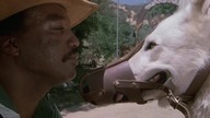 White Dog [1982] LEKTOR PL