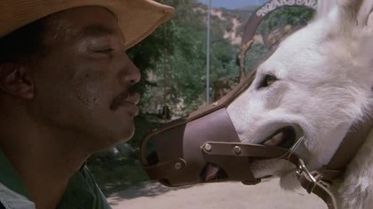 White Dog [1982] LEKTOR PL