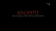 Auschwitz. Naziści i ostateczne rozwiązanie s01e02 Orders & Initiatives