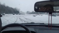 Młody psientem na spontanie