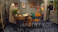 Bardzo ostry dyżur.  Odc. 6: Martwy kot, to chory kot
