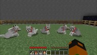 Minecraft Mody Sophisticated wolves