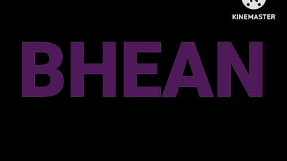 Bhean Home Entertainment Logo History (ft.  Bhean Home Video)