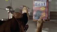 Komisarz. Rex. S03E03. PDTV. RiP. MKR