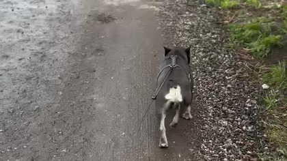 372df362-b7ed-4729-ac80-3a927e0370a8