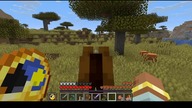 Theyre on my way again #minecraft #gaming #game #Short #Shorts #Patrol