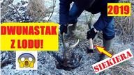 Wyciągam Siekierą Dwunastaka Jelenia z Lodu, Zrzuty 2019, Mocno Siedział