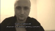 Szary Człowiek - Jeszcze w zielone gramy (Wojciech Młynarski (Daria Zawiałow) cover)