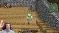 Palion 4