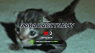 Gramy w fortnite