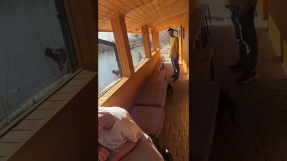 Najciekawsze momenty na żywo