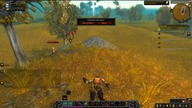 #2 Zagrajmy w Word of Warcraft Clasic