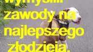 Dowcip dnia! #24# #dowcipdnia #dowcip #kawały