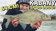 638 KABANY SPOD LODU !!! MARZENIE NA BAŁAŁAJKĘ !!! WROCŁAW - PZW !!!
