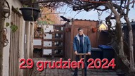 Kury i chory królik * 29. 12. 2024