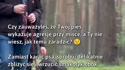 Jak pomóc psu z agresją przy misce?  #Psy #AgresjaUpsa #ZachowaniePsa