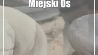 Świdnik: Ceramiczne cuda