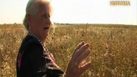 Zapomniane zbrodnie na Wołyniu (2009)