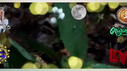 BiSTRO Electrique.  JuTubki.  (Muzyczny).  MiKE. 