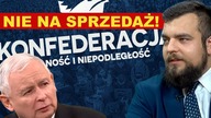PILNE! Czy PiS kupi posłów Konfederacji? Michał Urbaniak o farsie w Sejmie