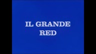 21 YATTAMAN - Wielki Red