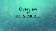 Biology Cell Structure I Nucleus Medical Media 1080p