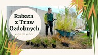 Zakładanie rabaty z TRAW OZDOBNYCH krok po kroku