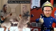 MEMY O GRZEGORZU BRAUNIE