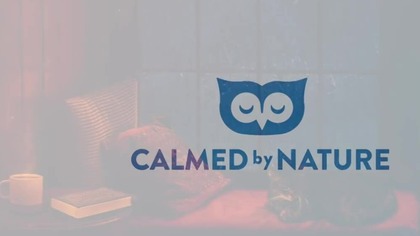 Cozy Cabin Ambience - Rain and Fireplace Sounds at Night 8 Hours for Sleeping, R