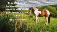 Audycja Wyzwolony - Jack Franklin
