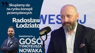 W konopie lepiej zainwestować na początku niż wskakiwać później do pędzącego pociągu