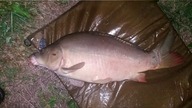 ZLOT i ZAWODY Method Feeder Polska 2018