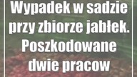 Wypadek w sadzie przy zbiorze jabłek.  Poszkodowane dwie pracownice