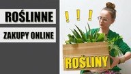 Roślinne ZAKUPY ONLINE.  Czy warto zamawiać ?!