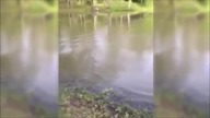 Dziewczynka łowi dużą rybę
