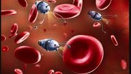 Nanorobotyka