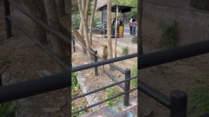 NIE LUBI, ALBO CENI EKOLOGIĘ 