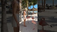 Spędź z nami dzień na ARUBIE #shorts