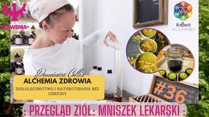 Alchemia Zdrowia - ziołolecznictwo i naturoterapia bez cenzury: #36 Przegląd ziół: MNISZEK LEKARSKI