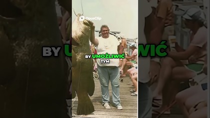 Granik Olbrzymi Gigant z Oceanu Atlantyckiego Odkrywamy!