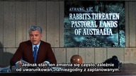 Noc kr&oacute;lika - Night of the Lepus [1972] wgrane NAPISY PL